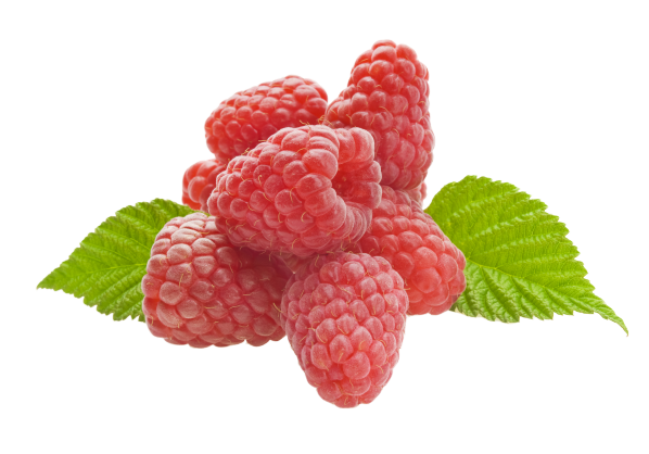 rasberry